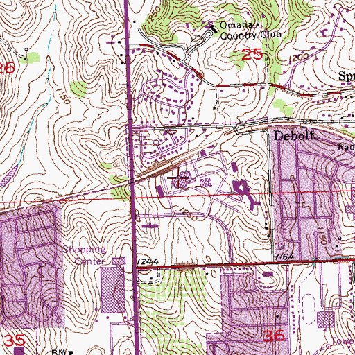 Topographic Map of Immanuel Fontenelle Home, NE