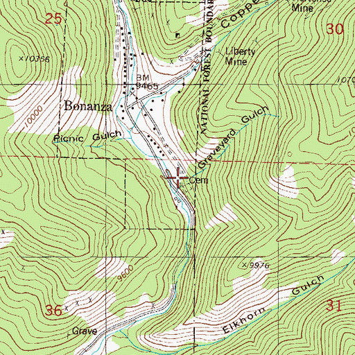 Topographic Map of Graveyard Gulch, CO