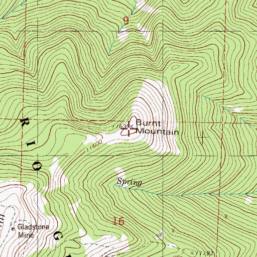 Topographic Map of Burnt Mountain, CO