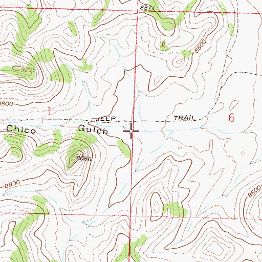 Topographic Map of Chico Gulch, CO