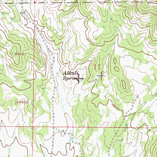 Topographic Map of Alkali Spring, CO