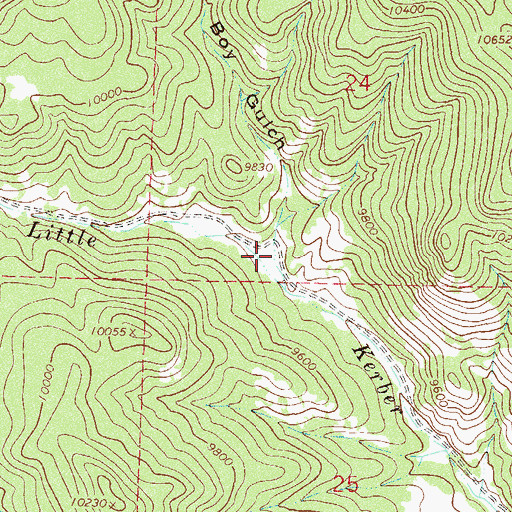 Topographic Map of Lucky Boy Gulch, CO