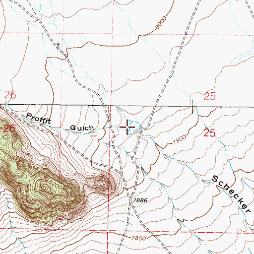 Topographic Map of Proffit Gulch, CO