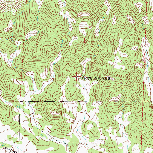 Topographic Map of Rock Spring, CO
