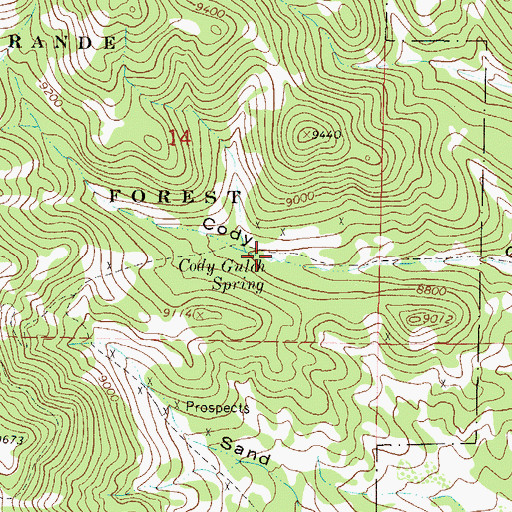 Topographic Map of Cody Gulch Spring, CO