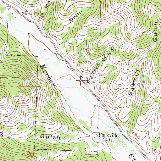 Topographic Map of Big Tree Gulch, CO