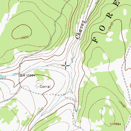 Topographic Map of Perfecto Creek, CO
