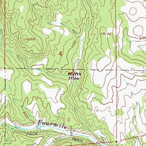 Topographic Map of Andys Hole, CO