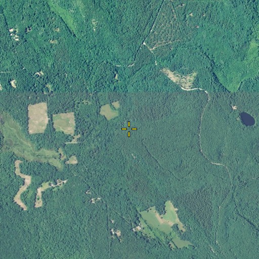 Aerial/Satellite Image of Bliven Burial Plot, RI