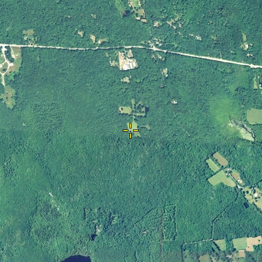 Aerial/Satellite Image of Crandall Plot, RI