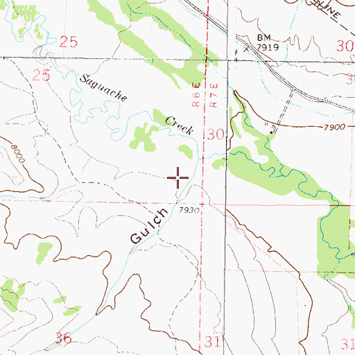 Topographic Map of Laughlin Gulch, CO
