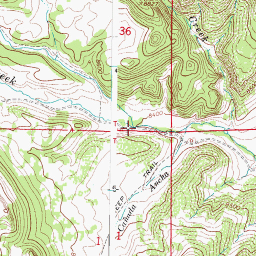Topographic Map of Little La Garita Creek, CO