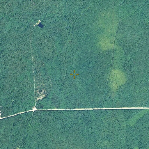 Aerial/Satellite Image of Thomas Wilcox Plot, RI