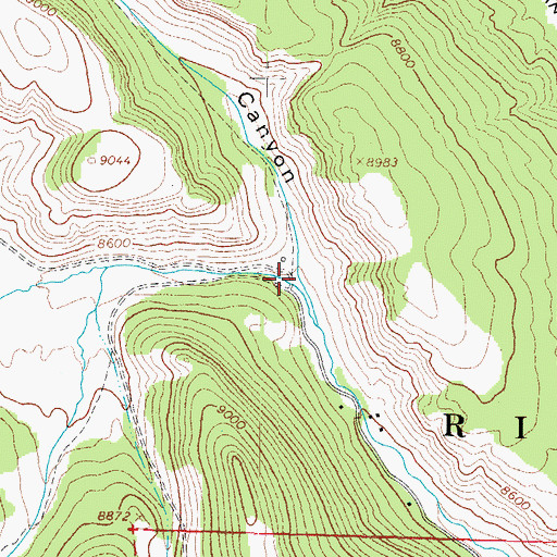 Topographic Map of Haney Canyon, CO