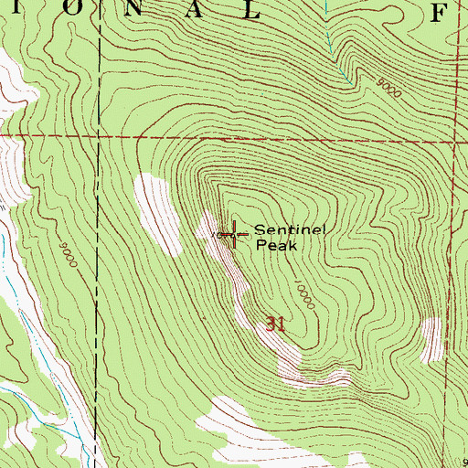 Topographic Map of Sentinel Peak, CO