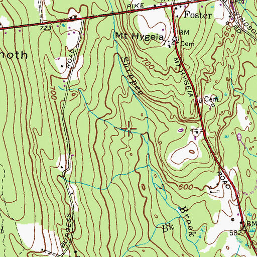 Topographic Map of Hopkins Lot Cemetery, RI