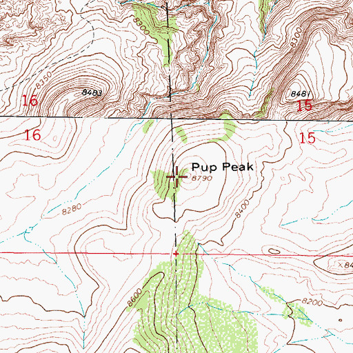 Topographic Map of Pup Peak, CO