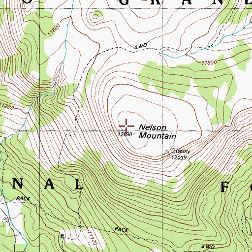 Topographic Map of Nelson Mountain, CO