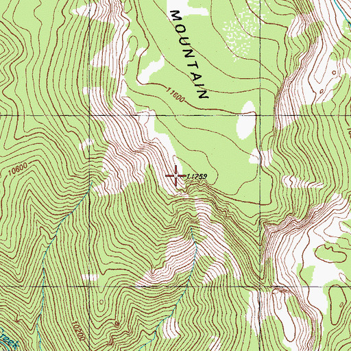 Topographic Map of McKenzie Mountain, CO