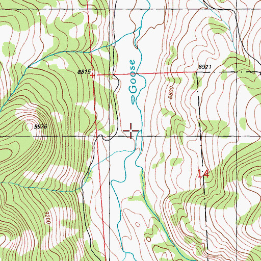 Topographic Map of Leopard Creek, CO