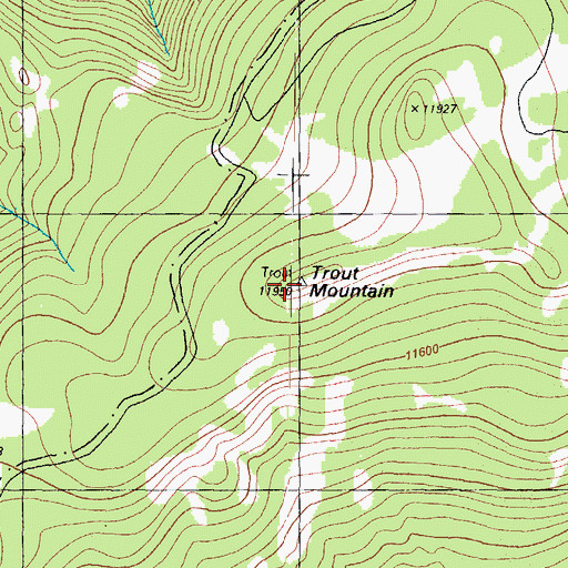 Topographic Map of Trout Mountain, CO
