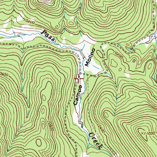 Topographic Map of Campo Molino, CO
