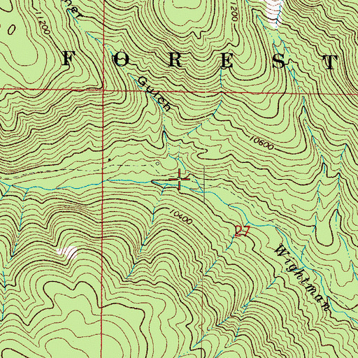 Topographic Map of Palmer Gulch, CO