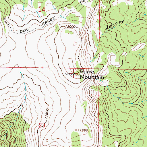 Topographic Map of Burro Mountain, CO