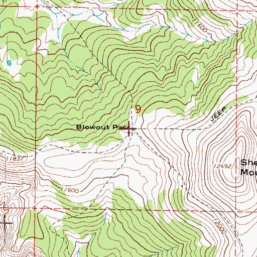 Topographic Map of Blowout Pass, CO
