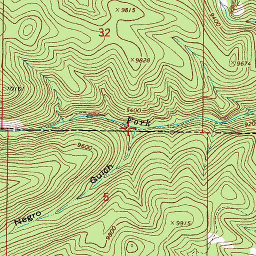 Topographic Map of Negro Gulch, CO