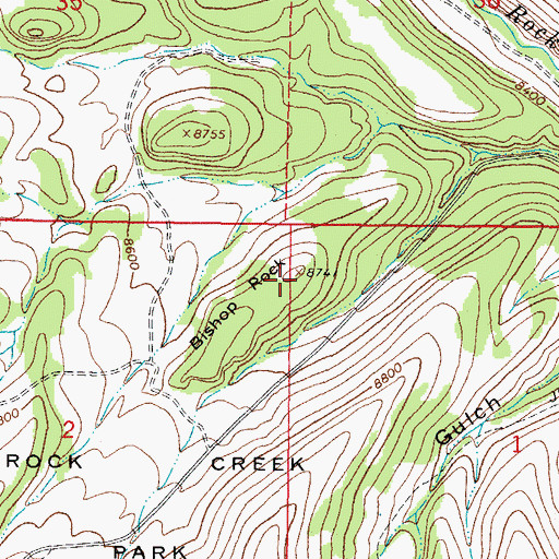 Topographic Map of Bishop Rock, CO