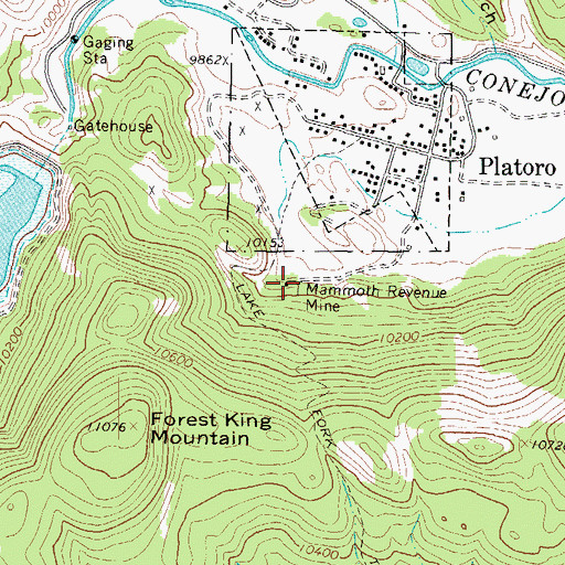 Topographic Map of Mammoth Revenue Mine, CO