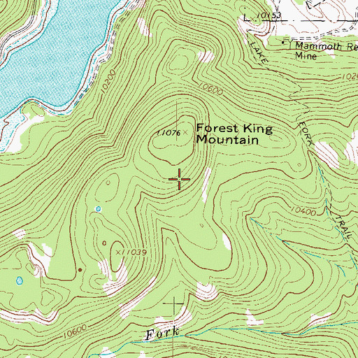 Topographic Map of Forest King Mountain, CO