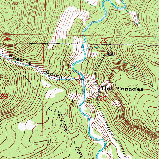 Topographic Map of Roaring Gulch, CO