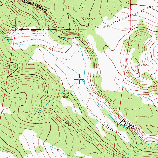 Topographic Map of Poso Creek Canyon, CO