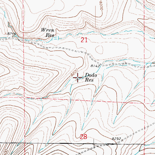 Topographic Map of Dodo Reservoir, CO