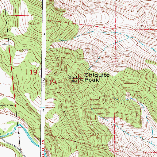 Topographic Map of Chiquito Peak, CO