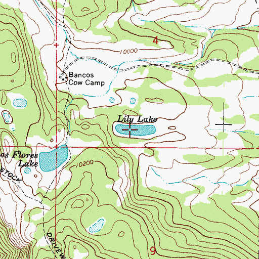 Topographic Map of Lily Lake, CO