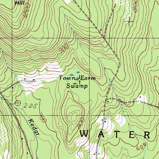 Topographic Map of Town Farm Swamp, ME
