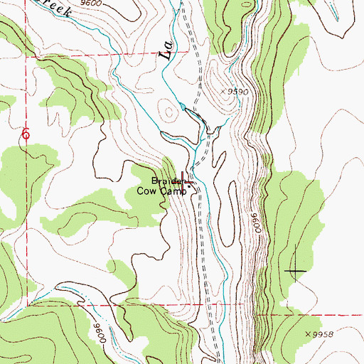 Topographic Map of Braiden Cow Camp, CO