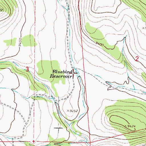 Topographic Map of Bluebird Reservoir, CO