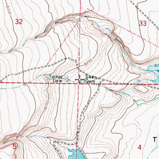 Topographic Map of Swan Dam, CO