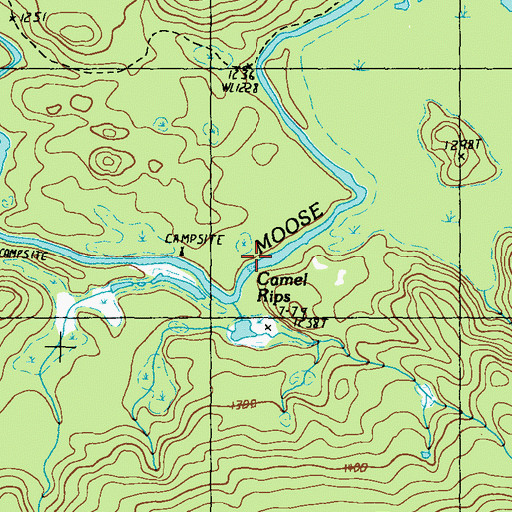 Topographic Map of Camel Rips, ME