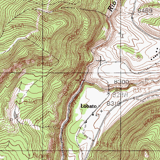 Topographic Map of Wolf Creek, NM