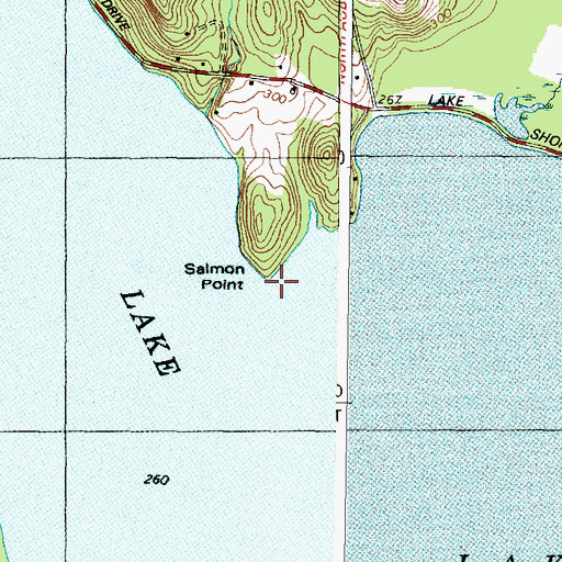 Topographic Map of Salmon Point, ME
