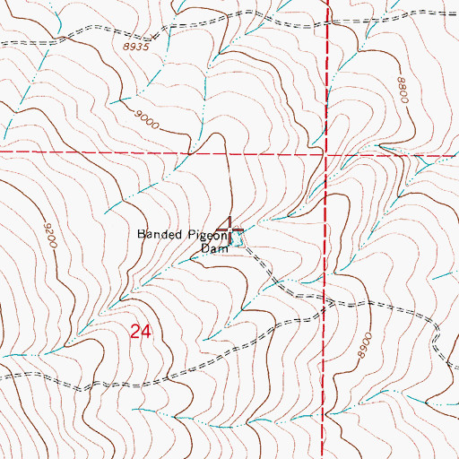 Topographic Map of Banded Pigeon Dam, CO