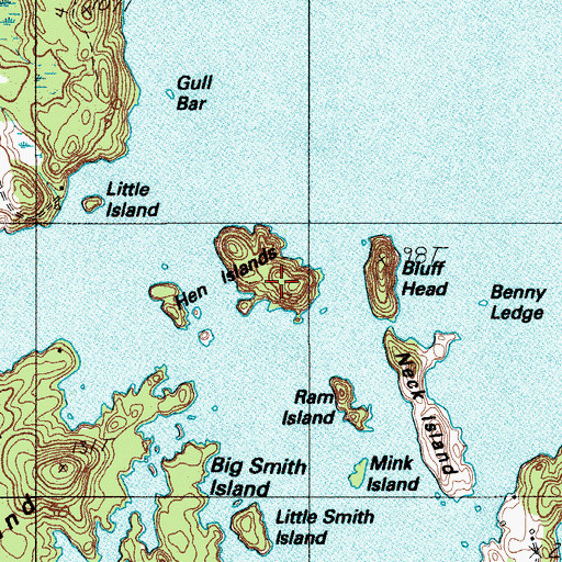 Topographic Map of Big Hen Island, ME
