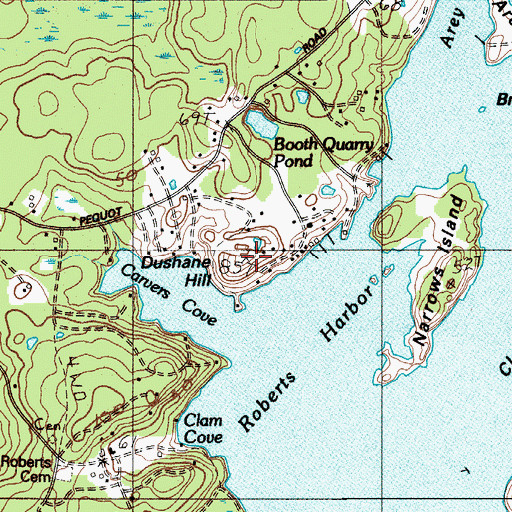 Topographic Map of Dushane Hill, ME