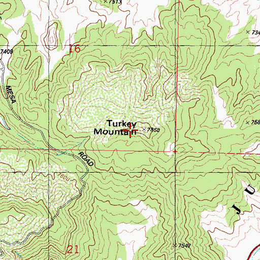 Topographic Map of Turkey Mountain, CO
