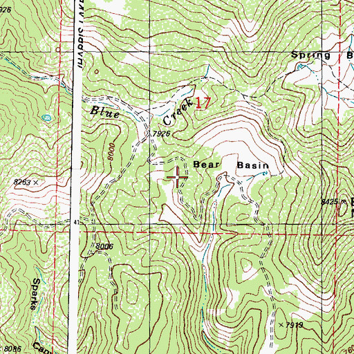 Topographic Map of Bear Basin, CO